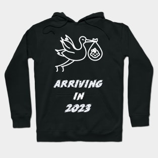 Arriving in 2023 Hoodie